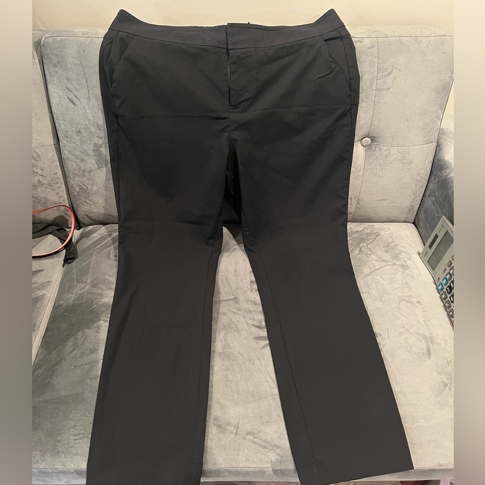 Torrid Studio pant